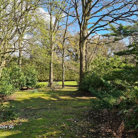 The Reading Whole Chalet With Lake And Two Acre Gardens Extérieur photo