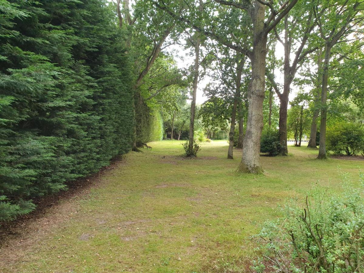 The Reading Whole Chalet With Lake And Two Acre Gardens Extérieur photo