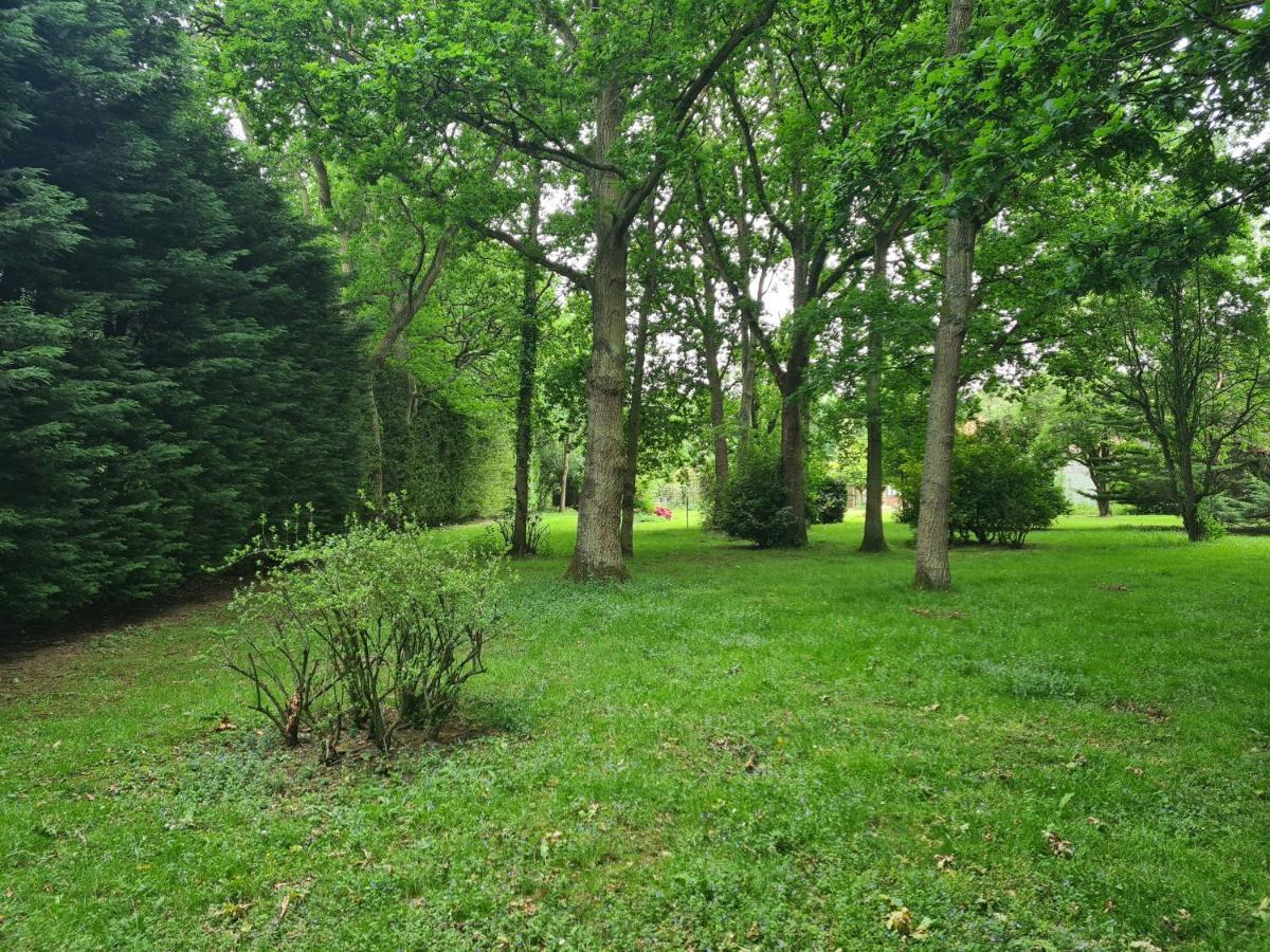 The Reading Whole Chalet With Lake And Two Acre Gardens Extérieur photo
