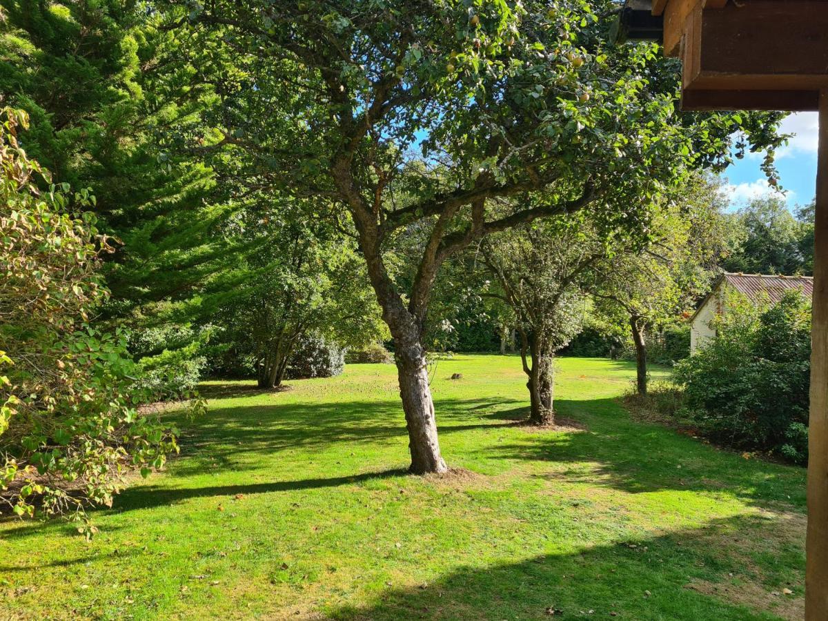 The Reading Whole Chalet With Lake And Two Acre Gardens Extérieur photo